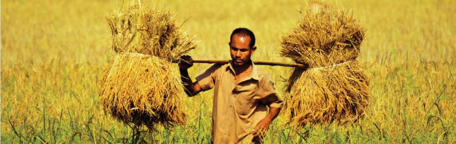 Rural Farming