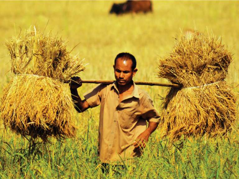 Rural Farming