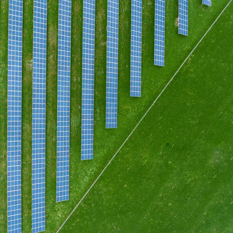 Loan for Solar Mini grid